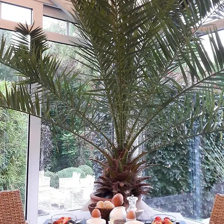Martinique Hotel 3*