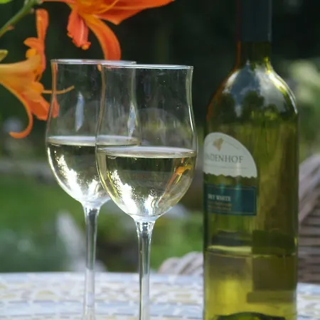 Martinique Hotel Nieuwpoort