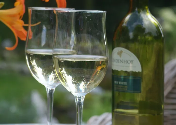 Martinique Hotel Nieuwpoort